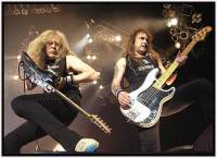 Iron Maiden   15     