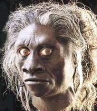 Homo floresiensis ("")