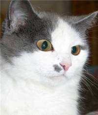    "  "