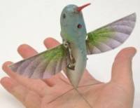   Nano Hummingbird