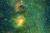  In Triple Tuma & # x43D; completely сфотографировали clouds are & # x449; REGARD stars 