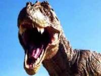 СМИ: В Мексике найдено самое большое кладбище динозавров