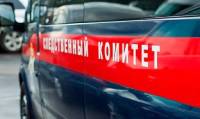В СКР проведут проверку по факту посадки в Домодедово самолета без шасси