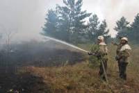 Лесной пожар близ Геленджика потушен