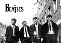 16      The Beatles