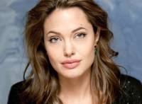 Анджелина Джоли намерена работать в нескольких вузах