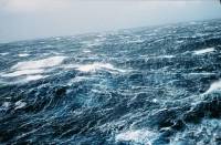 В Охотском море ищут человека, выпавшего за борт японского судна