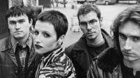     The Cranberries