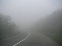 На Кубани водитель во время тумана сбил насмерть 5 человек