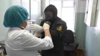 В РФ за сутки выявили 500 новых случаев коронавируса