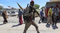 Федеральные войска Эфиопии освободили от боевиков еще четыре города