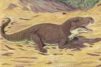 В Аргентине нашли новый вид рептилий, живших 230 млн лет назад