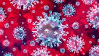 В Индии выявлен штамм коронавируса с двойной мутацией