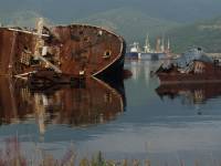 В Авачинской бухте Камчатки нужно поднять и утилизировать более 100 затонувших судов