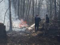 В Якутии лесной пожар приближается к селу Ытык-Кюель