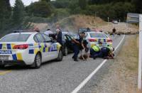 В Новой Зеландии разбился автомобиль, погибли пять подростков