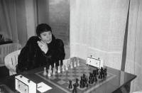 В США не стали отклонять иск шахматистки Гаприндашвили к Netflix из-за сериала «Ход королевы»