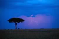 В Танзании из-за ударов молний погибли пять человек