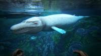 Череп кита возрастом 36 млн лет найден в перуанской пустыне