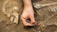 В США в 3000-летней могиле найден череп со следами трепанации